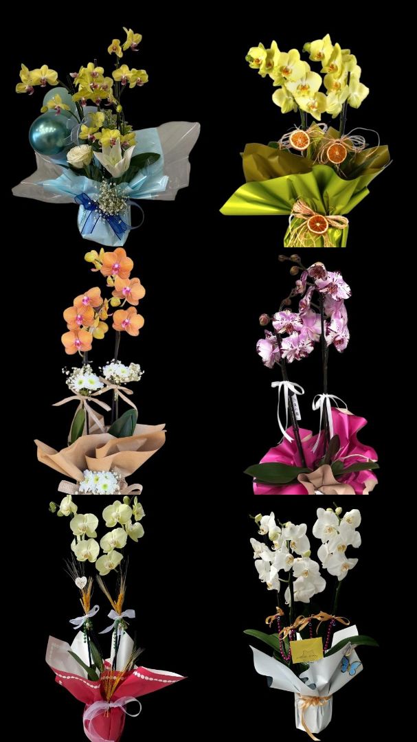 Sponsorlu ilan: VIP ÇİÇEKÇİLİK & ORGANİZASYON 